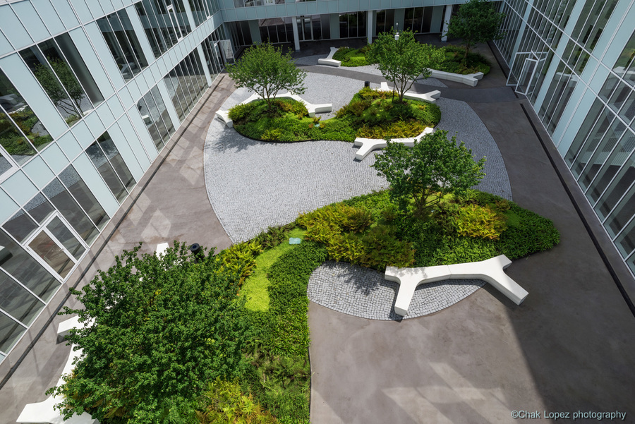 Het bovenaanzicht van de daktuin van de AP Hogeschool Het bovenaanzicht van de daktuin van de AP Hogeschool